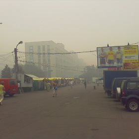    2010